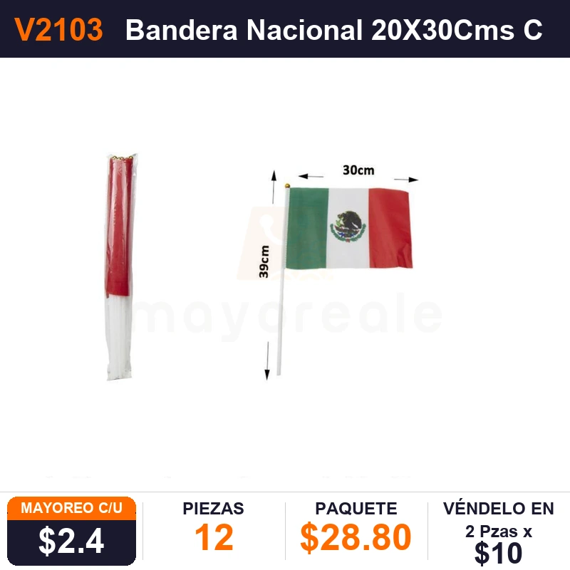Bandera Nacional 20X30Cms Con Baston - Pack x12